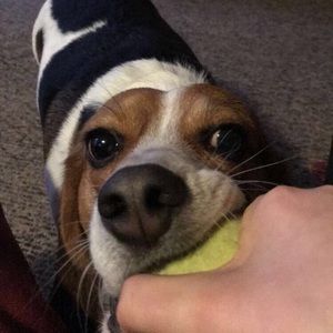 Meet your Posher, Breanna